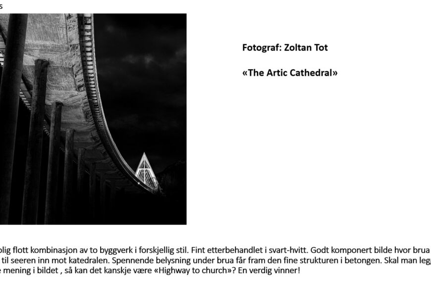 November 2020 «Arkitektur»: Topp 10 og vinner Zoltan Tot