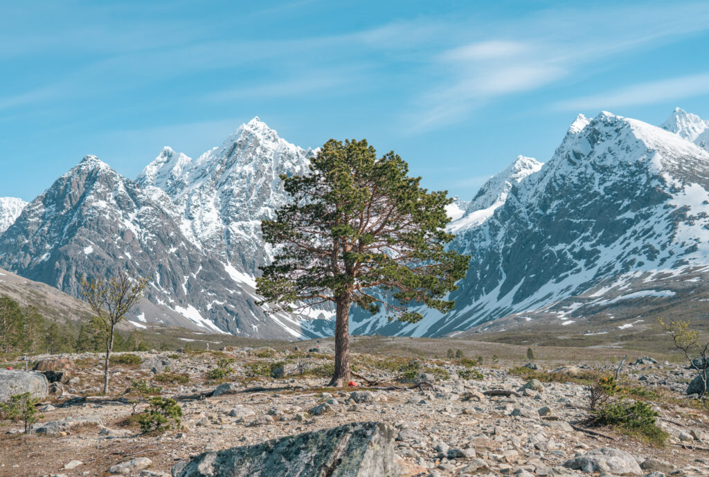 Foto: Jørn Eilertsen