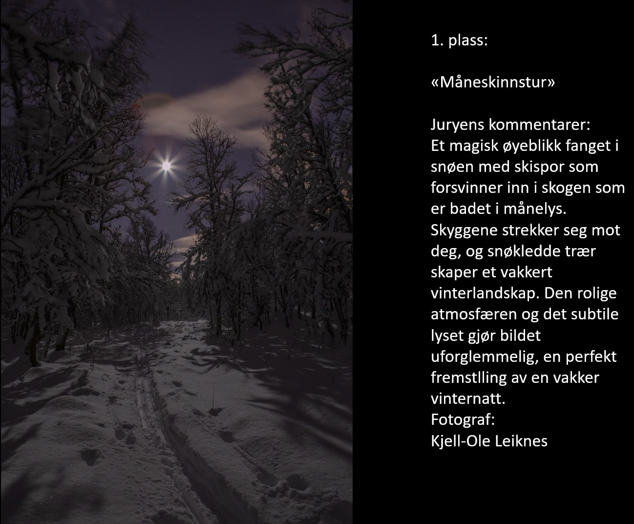 Temakonkurranse Desember 2023 «Mørketid»: Topp 10 med vinner Kjell-Ole Leiknes
