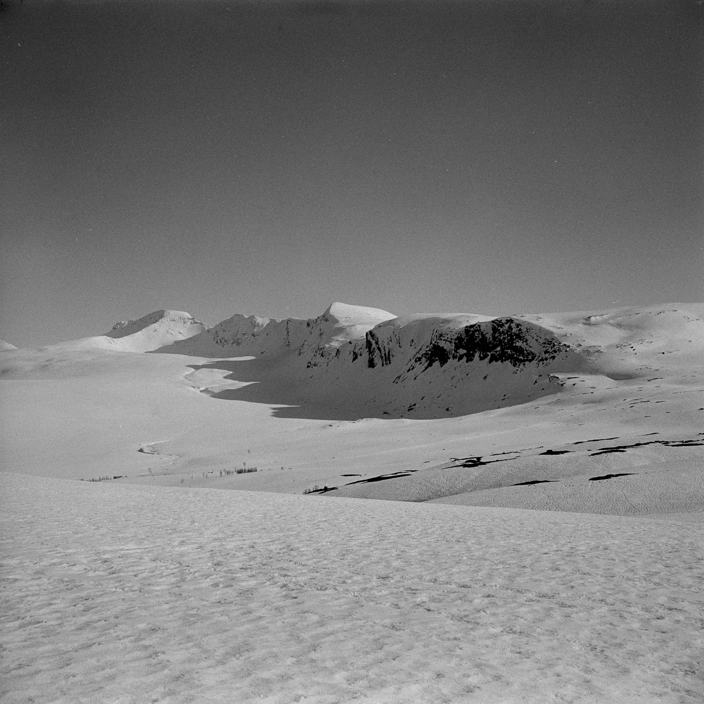 Analogaften torsdag 24. april